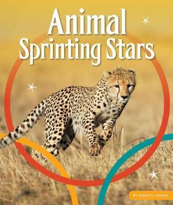 Animal Sprinting Stars