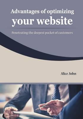 Advantages of Optimizing Your Website: Penetrating the Deepest Pocket of Customers