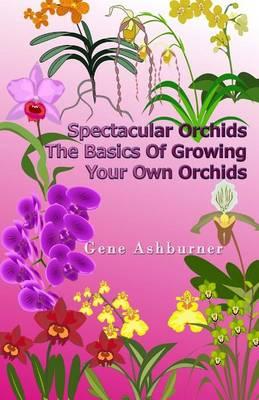 Spectacular Orchids: The Basics Of Growing Your Own Orchids