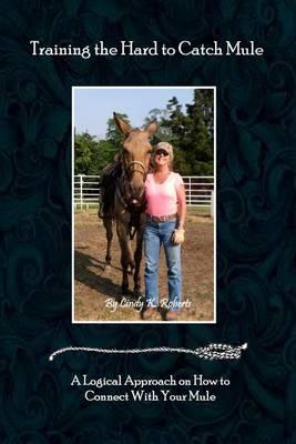 Training the Hard-To-Catch Mule: A Logical Approach on How to Connect with Your Mule