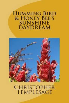 Humming Bird & Honey Bee's Sunshine Daydream
