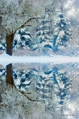 Journal Your Life's Journey: Journals To Write In For Women Cute Plain Blank Notebooks