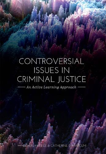 Controversial Issues in Criminal Justice: An Active Learning Approach