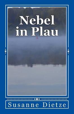 Nebel in Plau