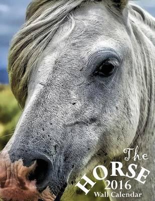 The Horse 2016 Wall Calendar