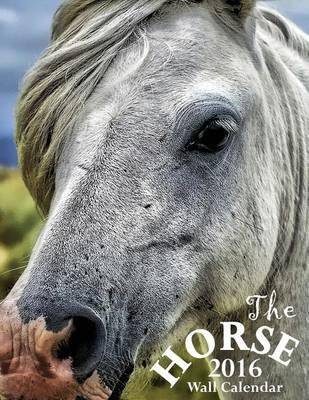 The Horse 2016 Wall Calendar (UK Edition)