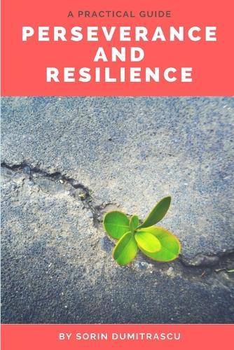 Perseverance and Resilience: A Practical Guide