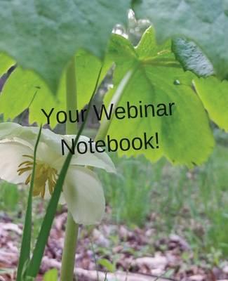 Your Webinar Notebook! Vol. 7: Journal, notebook and planner