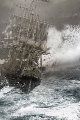 (Website Password Organizer) Ship in a Storm: Password/Login/Website Keeper/Organizer Never Worry about Forgetting Your Website Password or Login Again!