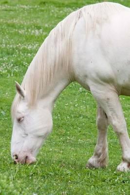 American Cream Draft Horse Journal: 150 Page Lined Notebook/Diary