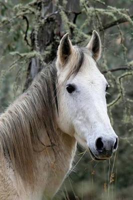 Wild Brumby Horse Journal: 150 page lined notebook/diary