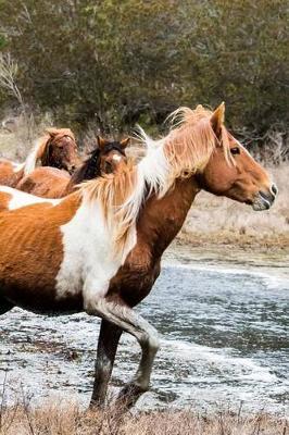 Chincoteague Horse Journal: 150 page lined notebook/diary