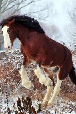Clydesdale Stallion Horse Journal: 150 page lined notebook/diary