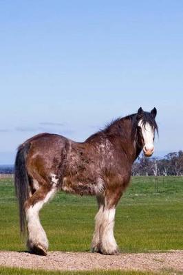 Clydesdale Horse Journal: 150 page lined notebook/diary
