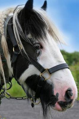 Gypsy Cob Horse Journal: 150 page lined notebook/diary