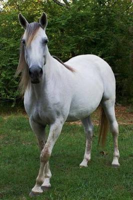 Tennessee Walking Horse Journal (Tennessee Walker): 150 page lined notebook/diary