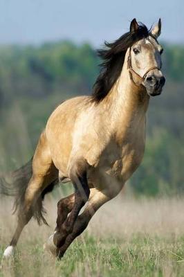 Lusitano Horse Journal: 150 page lined notebook/diary