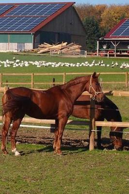 Westphalian Horse Journal: 150 page lined notebook/diary