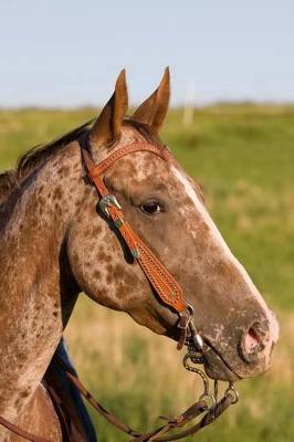 The Appaloosa Horse Journal: 150 page lined notebook/diary