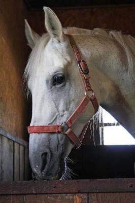 Arab Whole Blood Horse Journal: 150 page lined notebook/diary