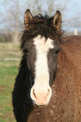 The Bashkir Curly Horse Journal: 150 page lined notebook/diary