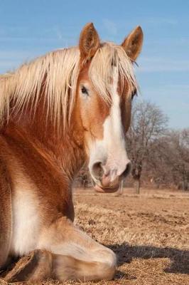 The Belgian Draft Horse Journal: 150 page lined notebook/diary