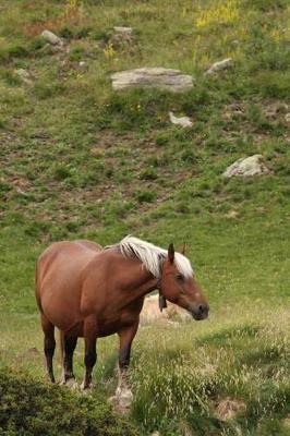 Comtois Horse Journal: 150 page lined notebook/diary