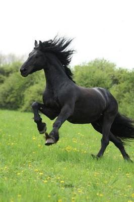 The Friesian Horse Journal: 150 page lined notebook/diary