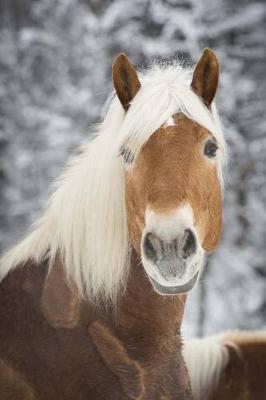 The Haflinger Horse Journal: 150 page lined notebook/diary