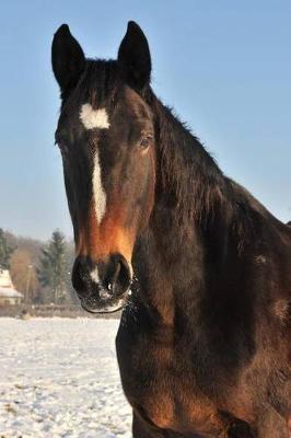 The Hanoverian Horse Journal: 150 page lined notebook/diary