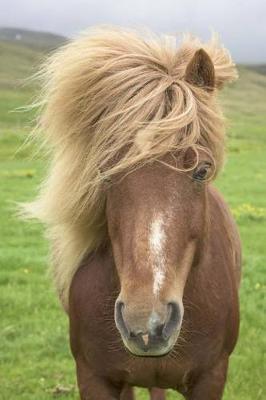 The Icelandic Horse Journal: 150 page lined notebook/diary