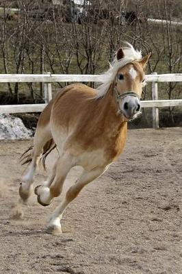 The Palomino Horse Journal: 150 page lined notebook/diary