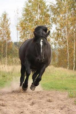 The Percheron Horse Journal: 150 page lined notebook/diary