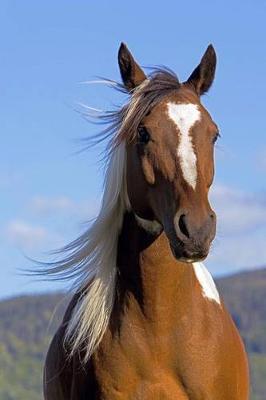 The Pinto Horse Journal: 150 page lined notebook/diary