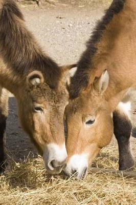 Przewalski's Horse Journal: 150 page lined notebook/diary