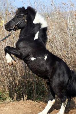 The Shetland Pony Journal: 150 page lined notebook/diary
