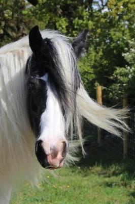 The Shire Horse Journal: 150 page lined notebook/diary