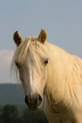 The Welsh Pony Journal: 150 page lined notebook/diary