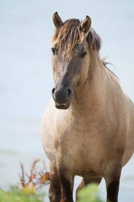 The Konik Horse Journal: 150 page lined notebook/diary