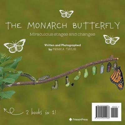 The Monarch Butterfly and The Cecropia Moth: Miraculous Stages and Changes