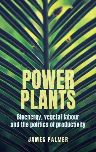 Power plants: Bioenergy, vegetal labour and the politics of productivity