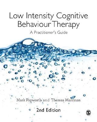Low Intensity Cognitive Behaviour Therapy: A Practitioner′s Guide
