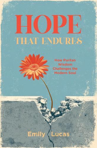 Hope that Endures: How Puritan Wisdom Challenges the Modern Soul