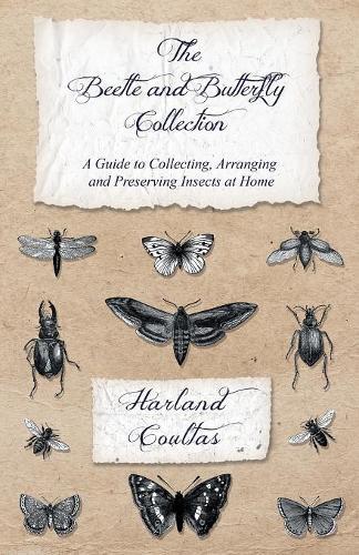 The Beetle and Butterfly Collection - A Guide to Collecting, Arranging and Preserving Insects at Home