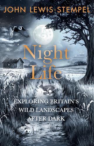 Night Life: Walking Britain’s wild landscapes after dark