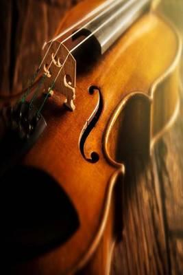 My Journal: Violin, Blank 150 Page Lined Diary / Journal / Notebook