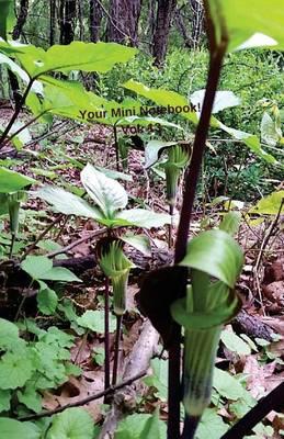 Your Mini Notebook! Vol. 13: A Lovely Springtime Journal Notebook