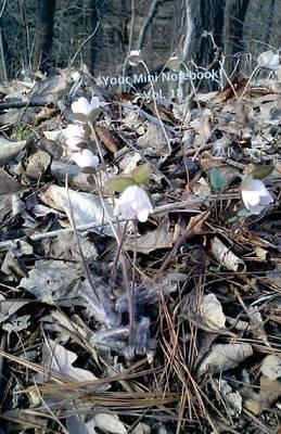 Your Mini Notebook! Vol. 18: A wonderful notebook journal to take everywhere