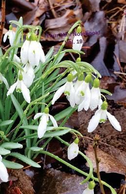 Your Mini Notebook! Vol. 19: A lined journal notebook perfect for new seasons and new beginnings