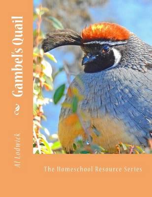 Gambel's Quail: The Homeschool Resource Series